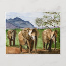 Pesquisar por elefante bonito cartoes postais Selva