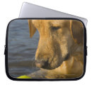 Pesquisar por corpo animal capas Vertical