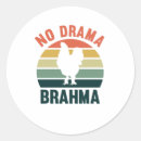 Pesquisar por brahma adesivos Galinha