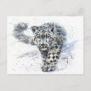 Pesquisar por pintura gato cartoes postais Leopardo