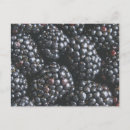 Pesquisar por fruit cartoes postais Red