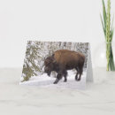 Pesquisar por yellowstone cartoes Animal