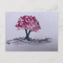 Pesquisar por flores de cerejeira cartoes postais Flor rosa