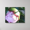 Pesquisar por flor colorida impressão de canvas Para eles