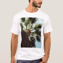 Pesquisar por palmtree Árvore