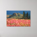 Pesquisar por agricultura impressão de canvas Campo