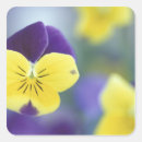 Pesquisar por viola adesivos Roxo