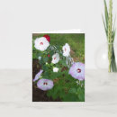 Pesquisar por variedades cartoes Flores
