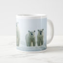 Pesquisar por filhotes de urso polar canecas Animais selvagens