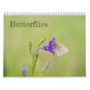 Pesquisar por borboletas calendarios Natureza