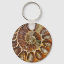 Pesquisar por fóssil chaveiros Animal