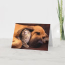 Pesquisar por orelhas de gato cartoes Cão