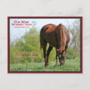 Pesquisar por raça pura cartoes postais Égua