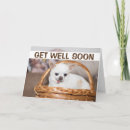 Pesquisar por cesta melhoras cartoes Animal