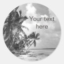 Pesquisar por palmas adesivos Praia tropical