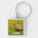 Pesquisar por eu amo brasil chaveiros Capivara