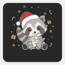 Pesquisar por raccoon adesivos Feriado