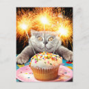 Pesquisar por bolo de engraçado aniversário convites Velas