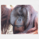 Pesquisar por primate mantas Macaco