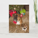 Pesquisar por pug natal cartoes Small