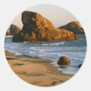 Pesquisar por meyer adesivos Paisagem