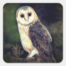 Pesquisar por owl adesivos Aquarela