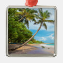 Pesquisar por cocos ornamentos Praia