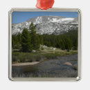 Pesquisar por corrente ornamentos Natureza