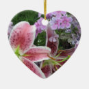 Pesquisar por plantas verdes ornamentos Jardinagem