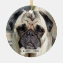Pesquisar por pug ornamentos Fofo