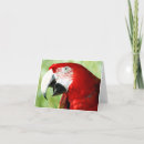 Pesquisar por arara cartoes Vida selvagem