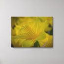 Pesquisar por flores amarelas impressão de canvas Arte de parede