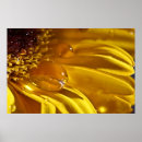 Pesquisar por água líquida pósteres pôsteres Natureza