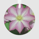 Pesquisar por flores brancas ornamentos Foto