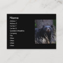 Pesquisar por urso preto cartao de visita Animal