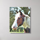 Pesquisar por cavalo pinturas impressão de canvas Animais