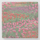 Pesquisar por tulipas porta copos Elegante