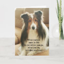 Pesquisar por sheepdog cartoes Dogs