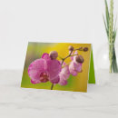 Pesquisar por orquídeas amarelas cartoes Borboleta