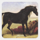 Pesquisar por cheval adesivos Árabe