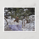 Pesquisar por ecologia vertical cartoes Inverno