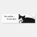 Pesquisar por lolcat Kitteh