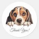 Pesquisar por amante da águia adesivos Beagle