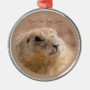 Pesquisar por peludo ornamentos Animais