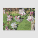 Pesquisar por cor rosa brilho papeis de seda Daughter