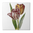 Pesquisar por holland azulejos Vintage