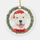 Pesquisar por american staffordshire terrier ornamentos Pitbull