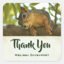 Pesquisar por roedores adesivos Fofofo