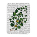 Pesquisar por vegetarianos imas Animais