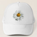 Pesquisar por flores margarida bones Flor silvestre